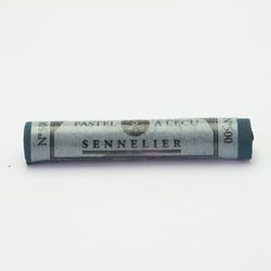 Pastel tendre à l'écu -  Gris Vert Bleuté 500