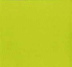 Feutrine 2mm - 30x30 cm - anis