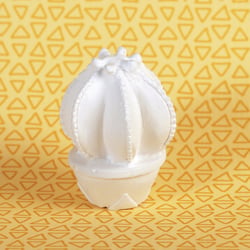 1 Plâtre CACTUS BOULE