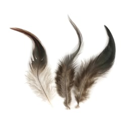 Plumes coq - 3g