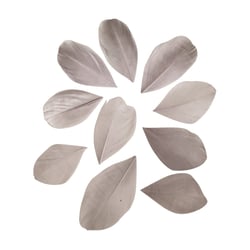 Plumes - gris clair - 36 pièces - 6 cm