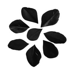 Plumes - noir - 36 pièces - 6 cm