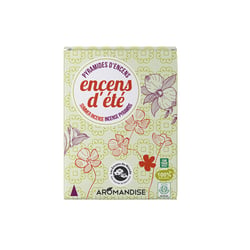 Pyramides d encens