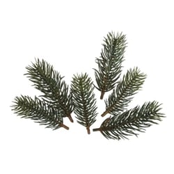 Lot de 6 rameaux de sapin Rayher - 7-9 cm
