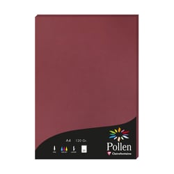 1 étui de 50 feuilles Pollen 210x297 mm 120g  - Bordeaux