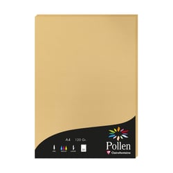 1 étui de 50 feuilles Pollen 210x297 mm 120g  - Caramel