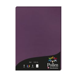 1 étui de 50 feuilles Pollen 210x297 mm 120g  - Cassis