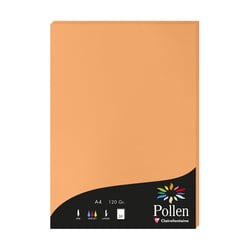 1 étui de 50 feuilles Pollen 210x297 mm 120g  - Clémentine