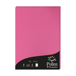 1 étui de 50 feuilles Pollen 210x297 mm 120g  - Rose fuchsia