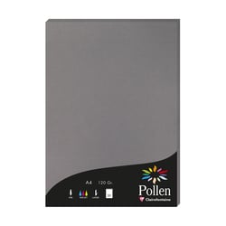 1 étui de 50 feuilles Pollen 210x297 mm 120g  - Gris acier