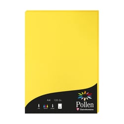 1 étui de 50 feuilles Pollen 210x297 mm 120g  - Jaune soleil