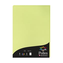 1 étui de 50 feuilles Pollen 210x297 mm 120g  - Vert bourgeon