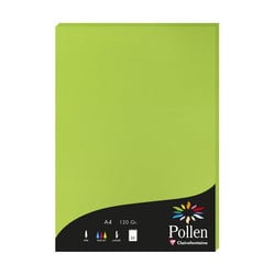 1 étui de 50 feuilles Pollen 210x297 mm 120g  - Vert menthe