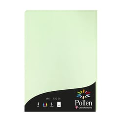 1 étui de 50 feuilles Pollen 210x297 mm 120g  - Vert