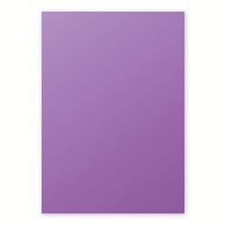1 étui de 50 feuilles Pollen 210x297 mm 120g  - Violine