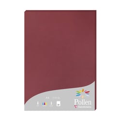 1 étui de 25 feuilles Pollen 210x297 mm 210g - Bordeaux