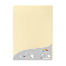 RAMETTE A4 210G CHAMOIS X25