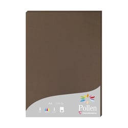 1 étui de 25 feuilles Pollen 210x297 mm 210g - Marron taupé