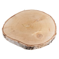 Rondin de peuplier - 24-26cm