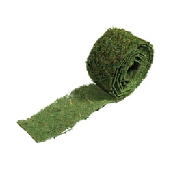 Ruban de mousse Rayher - 5 x 200 cm - Vert