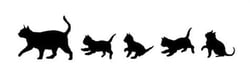 Tampon Bois Bordure Chat Et Ch Tampon Bois Bordure Chat Et Chaton
