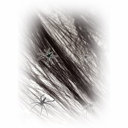 Toile d'araignée noire + 4 araignées