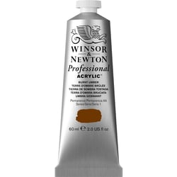 Professional Acrylic Colour- 60ml - tettre d'ombre brûlée - Winsor & Newton
