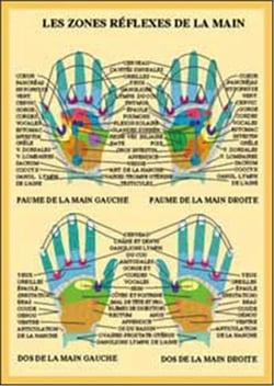 Planche illustrée - Zones réflexes des mains
