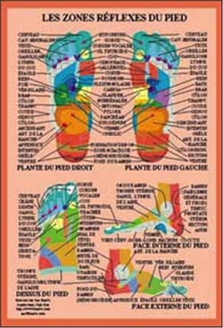 Planche illustrée - Zones réflexes des pieds