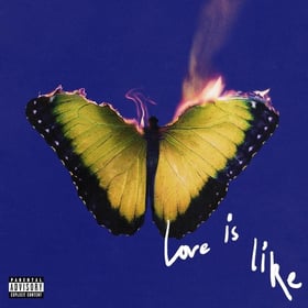 Love Is Like