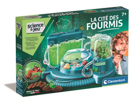 La cité des fourmis - Clementoni