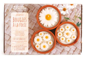 Kit bougies Graine Créative - A la folie Marguerite