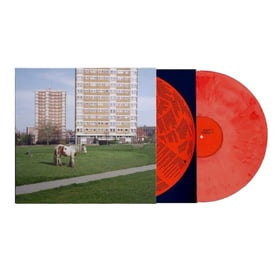 It Goes On - Exclu Cultura - Vinyle recyclé Rouge - Tirage limité