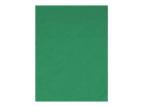 Fond vert T'nB - Influence - 1.5 m x 2 m