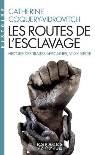 Les routes de l'esclavage - histoire des traites africaines, vie-xxe siècle