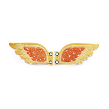  Accessoires de chaussure - Ailes colorées - Créalia