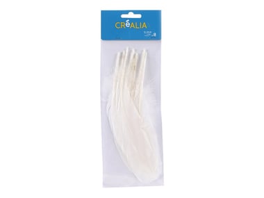 8 plumes 16 à 20 cm - Blanc - Créalia