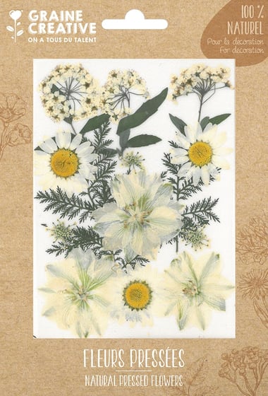 1420 Pièces Vraies Fleurs Séchées Pressées Pour Résine époxy, DIY Bijoux, Ongles
