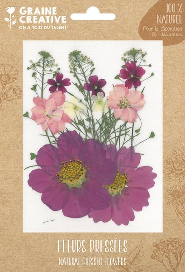 Lot de 14 fleurs pressées naturelles Graine créative - Prairie - Parme