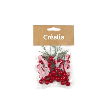Clairefontaine 97708C - Kit Créatif Couronne de Noël en Papier Crépon pour  Adultes - Pas-à-Pas Inclus - Fleurs Papier Crépon - Décoration de Noël 