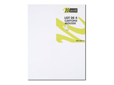 Lot de 4 plaques de carton mousse - 50 x 65 cm - 2mm - Monali