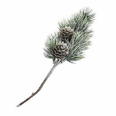 Rameau de sapin avec mini pomme de pin Rayher