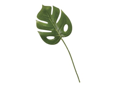 3 feuilles Monstera