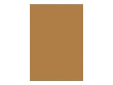 1 étui de 25 feuilles Pollen - Clairefontaine - 210g - Kraft - 210x297 mm