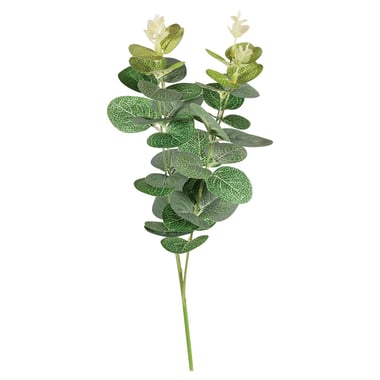 Branche d'eucalyptus Rayher - 34 cm