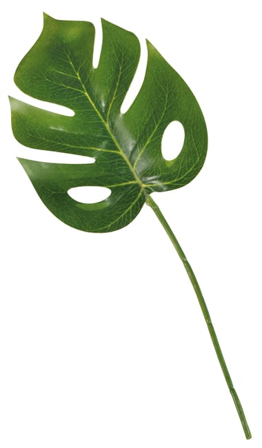 Feuille Listi Monstera - set de 3
