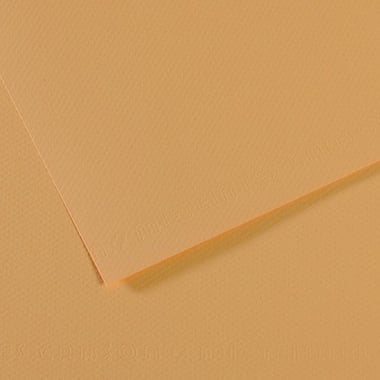 Feuille MI-TEINTES® Canson - 50 x 65 cm - 160g/m² - chanvre