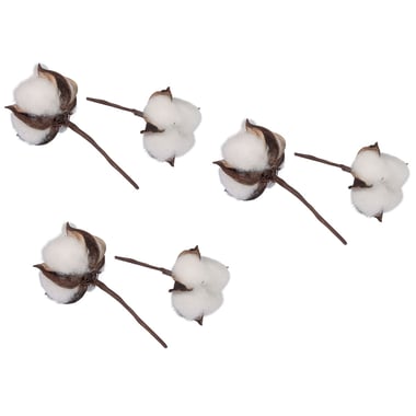 Lot de 6 fleurs de coton - Rayher