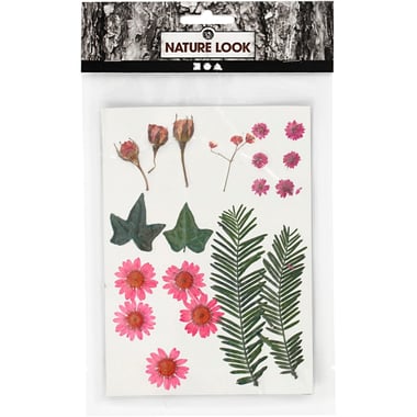 Lot de 19 fleurs pressées Créativ Company - Rouge clair