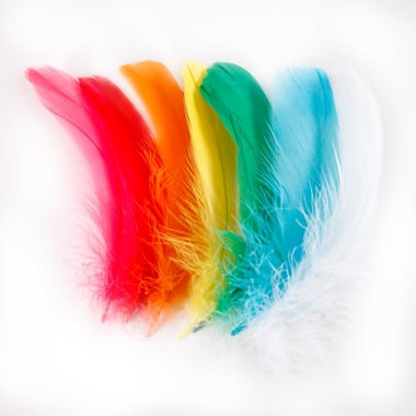 Set de 40 plumes multicolores - Créalia - 8 à 12 cm